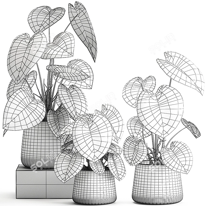 Exotic Indoor & Outdoor Plant Collection 3D model image 5