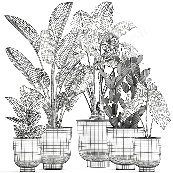 Tropical Plant Collection, White Pots 3D model image 6