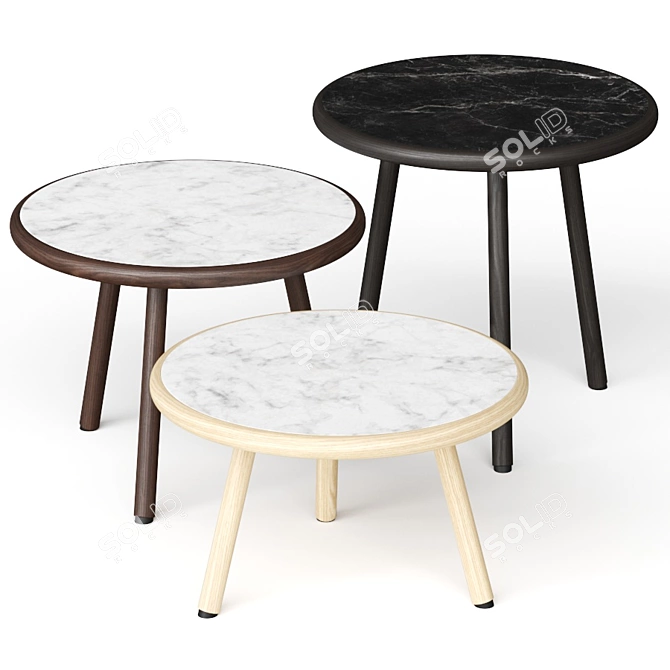 Paola Zani FPT Coffee Tables - Stylish & Versatile 3D model image 1