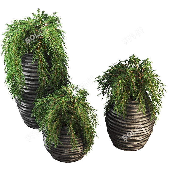 Botanic Oasis: Exquisite Plant Collection 3D model image 4