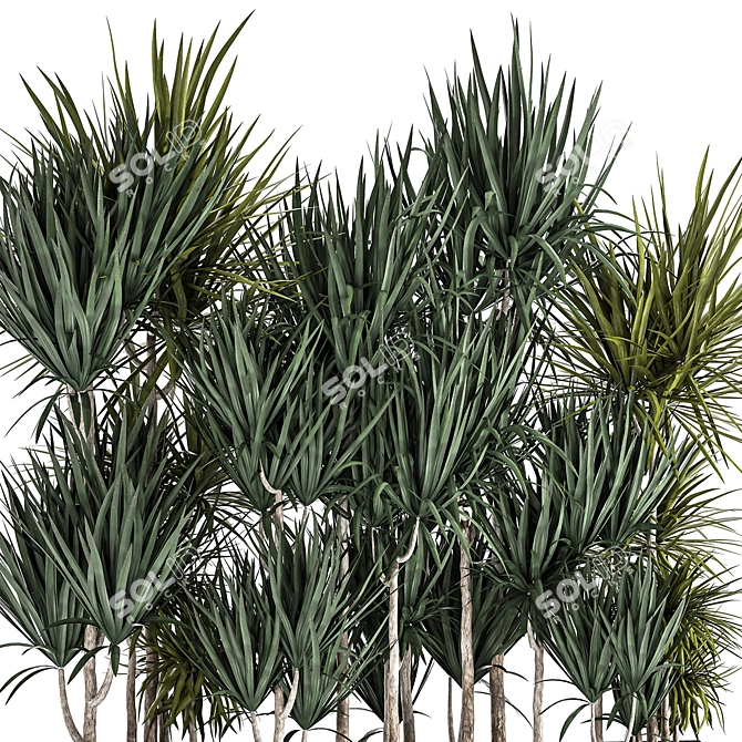 Tropical Plant Collection 3D model image 2