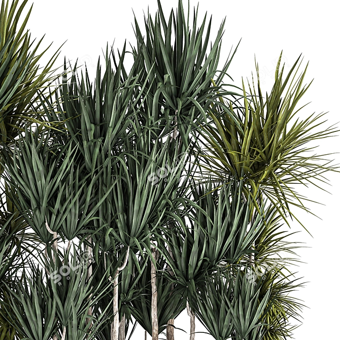 Tropical Plant Collection 3D model image 4