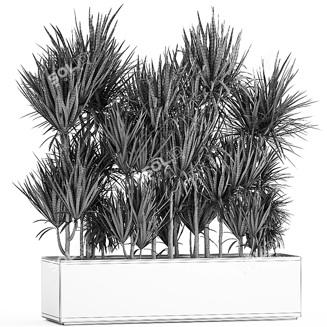 Tropical Plant Collection 3D model image 5