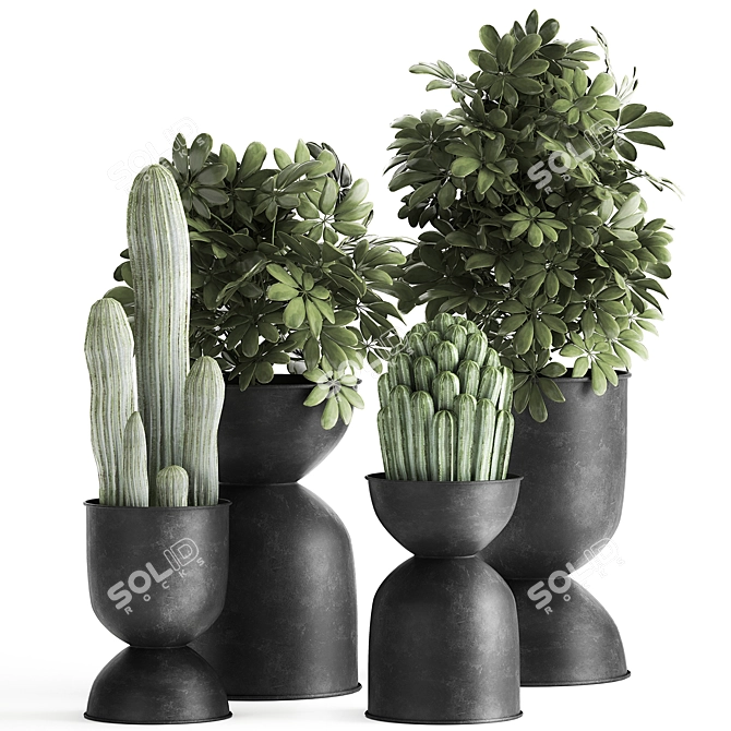 Tropical Plant Collection | Exotic & Decorative Outdoor & Indoor Plants with Black Pots 3D model image 1