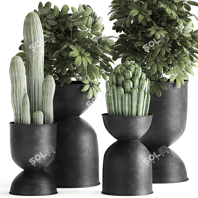 Tropical Plant Collection | Exotic & Decorative Outdoor & Indoor Plants with Black Pots 3D model image 2