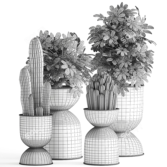 Tropical Plant Collection | Exotic & Decorative Outdoor & Indoor Plants with Black Pots 3D model image 5