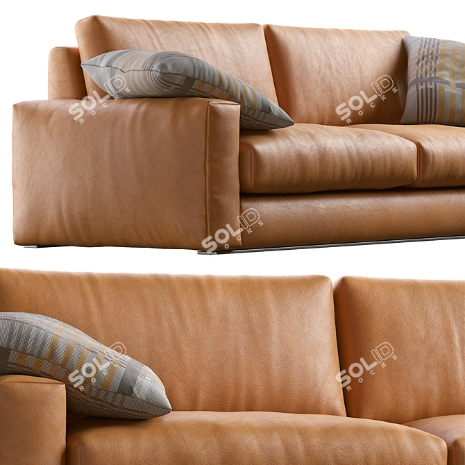 Modern Leather Sofa: Vibieffe 810 FLY 3D model image 2