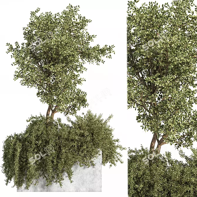 Outdoor Bliss: Majestic Tree 06 3D model image 1