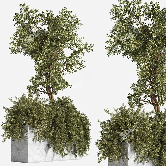 Outdoor Bliss: Majestic Tree 06 3D model image 3