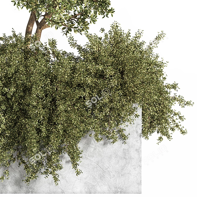 Outdoor Bliss: Majestic Tree 06 3D model image 4