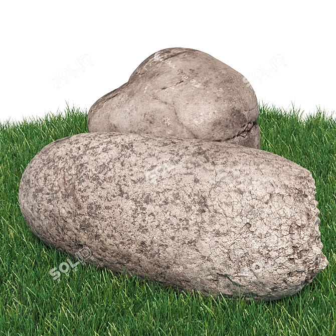 Landscape Stones Set: High-Quality 3D Scans & Textures 3D model image 4