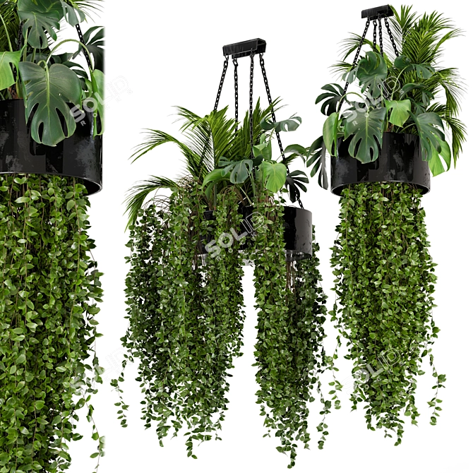 Metal Box Hanging Plants - Set 89 3D model image 1