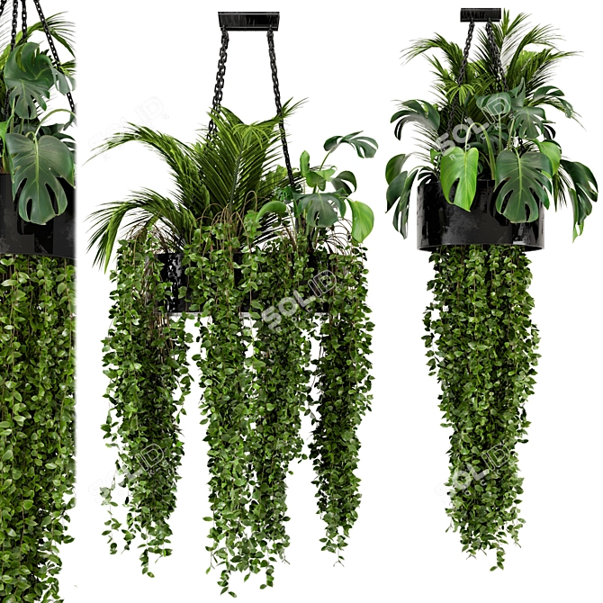 Metal Box Hanging Plants - Set 89 3D model image 2