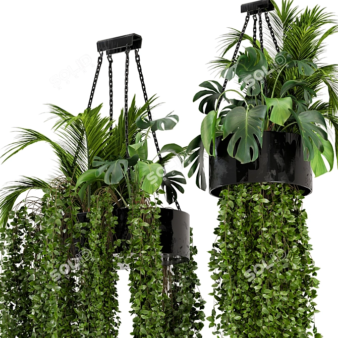 Metal Box Hanging Plants - Set 89 3D model image 5