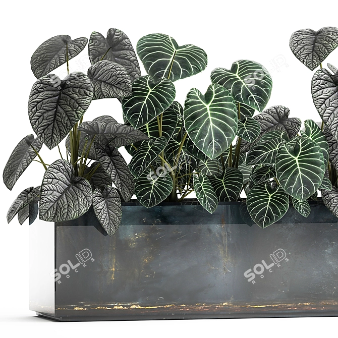 Exotic Plant Collection: Anthurium, Alocasia & More 3D model image 2