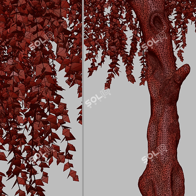Chinese Elm Trees: Stunning Pair for your Garden! 3D model image 6