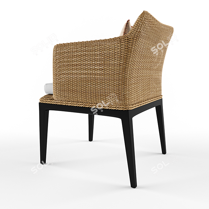 Leo Rattan Armchair: Elegant and Timeless Design 3D model image 2