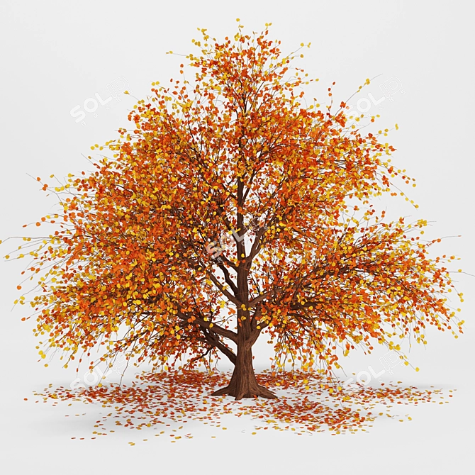 Autumnal Tree Pack: 2 Unique Trees 3D model image 3