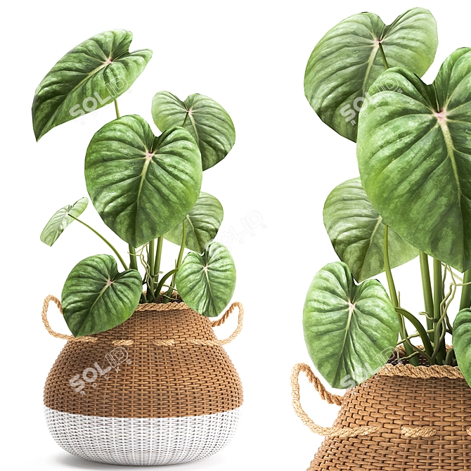 Exotic Plant Collection in White Baskets 3D model image 1