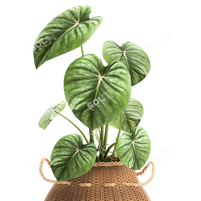 Exotic Plant Collection in White Baskets 3D model image 4