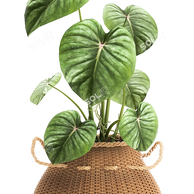 Exotic Plant Collection in White Baskets 3D model image 5