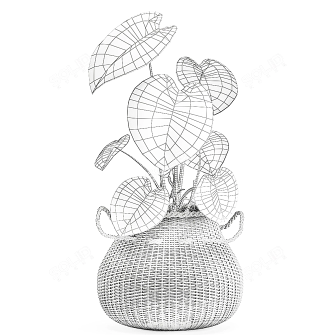 Exotic Plant Collection in White Baskets 3D model image 6