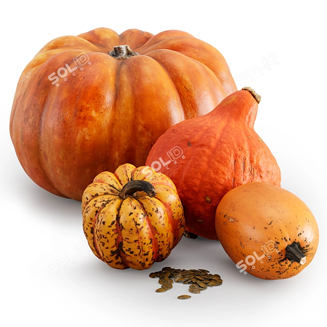Fall Harvest Pumpkin Set 3D model image 1
