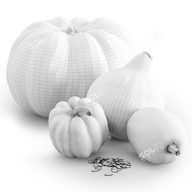 Fall Harvest Pumpkin Set 3D model image 2