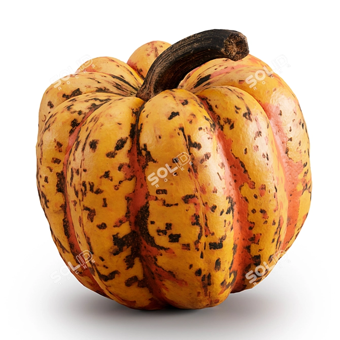 Fall Harvest Pumpkin Set 3D model image 3