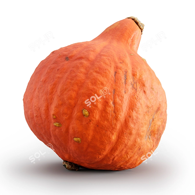 Fall Harvest Pumpkin Set 3D model image 5