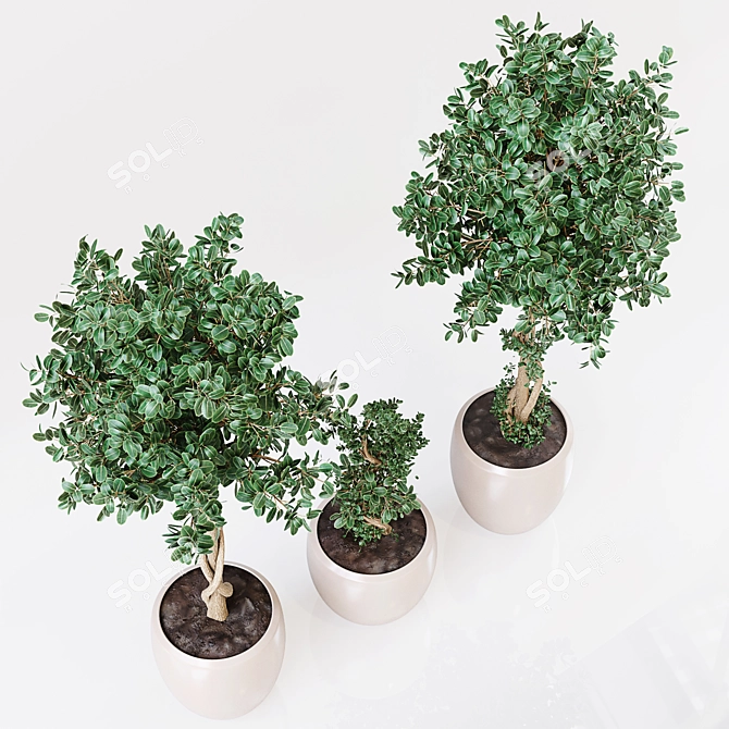 Premium Indoor Plant Decor 3D model image 2