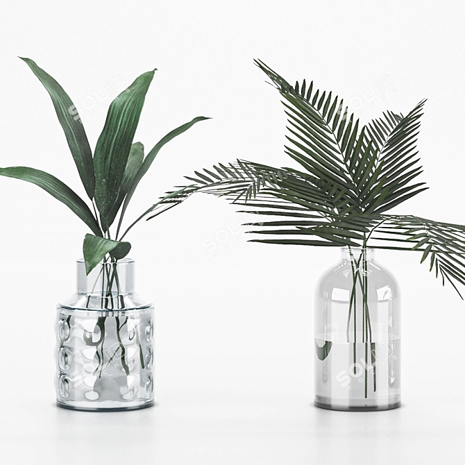 Indoor Plant Collection for any Space 3D model image 2