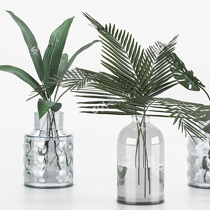 Indoor Plant Collection for any Space 3D model image 8