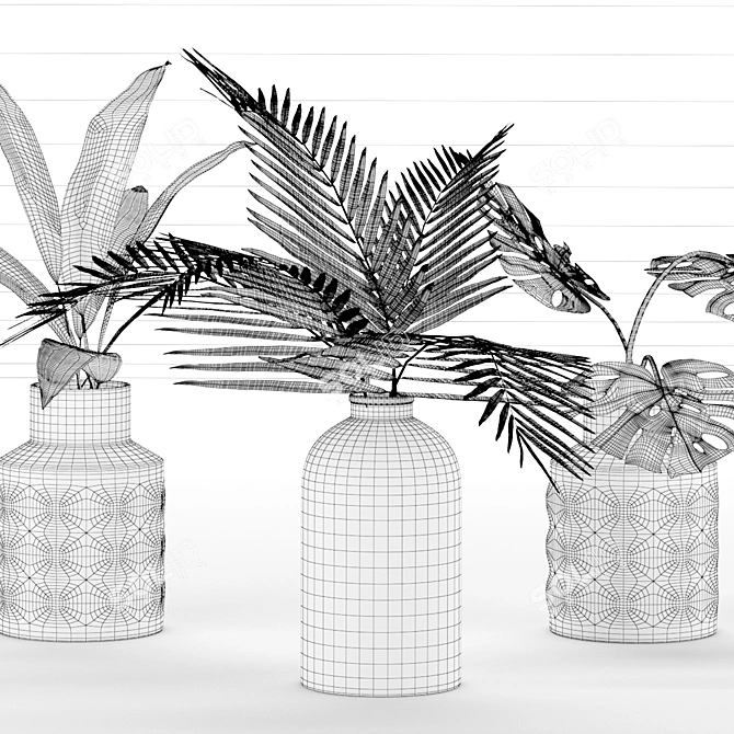 Indoor Plant Collection for any Space 3D model image 9