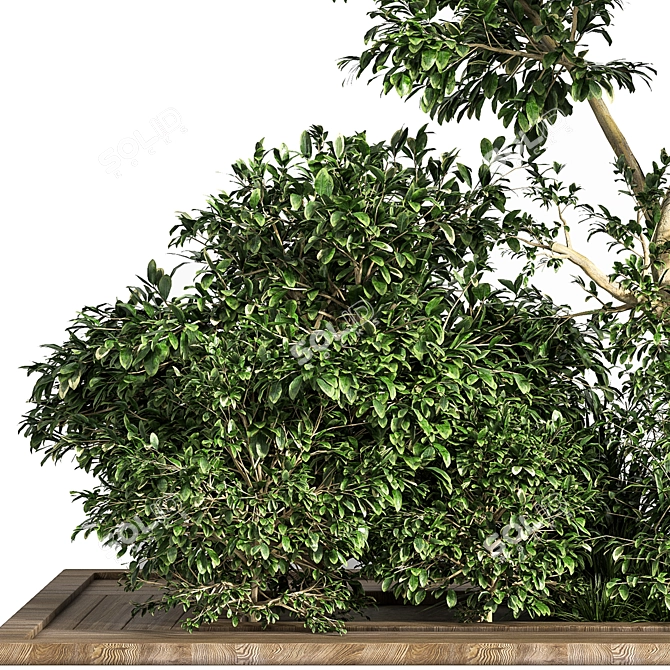 Versatile Garden Set: Bush and Tree Collection 3D model image 4