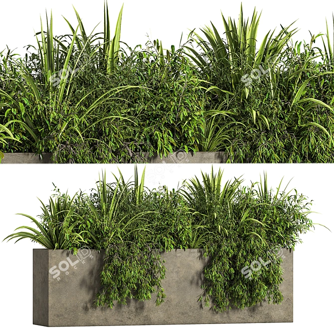 Concrete Box Outdoor Plant Tree 3D model image 1