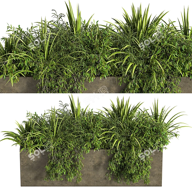 Concrete Box Outdoor Plant Tree 3D model image 4