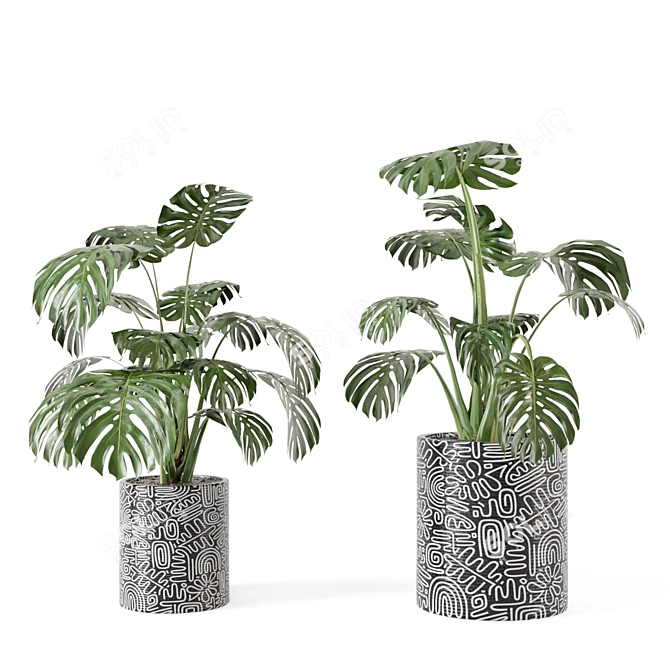 Lush Indoor Plant Collection 3D model image 2