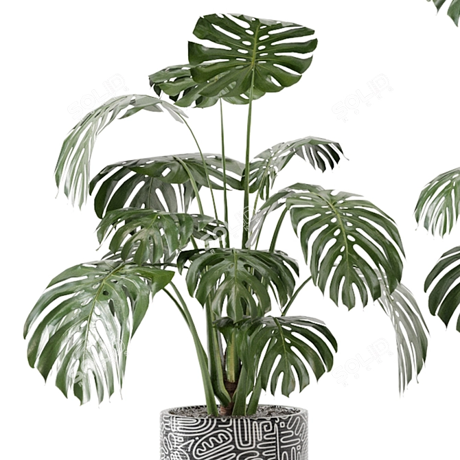 Lush Indoor Plant Collection 3D model image 4