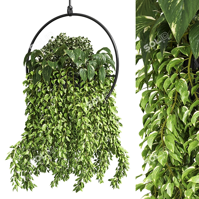 Elegant Metal Vase for Hanging Indoor Plants 3D model image 1