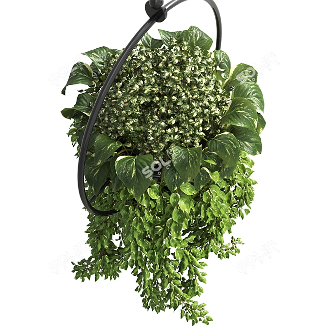 Elegant Metal Vase for Hanging Indoor Plants 3D model image 2