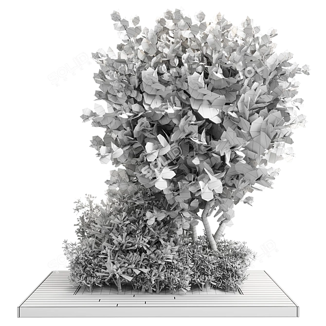 Garden Wood Pot Plant Collection 3D model image 4