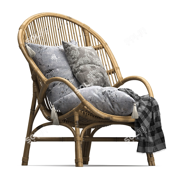 Vintage Rattan Accent Chair 3D model image 1