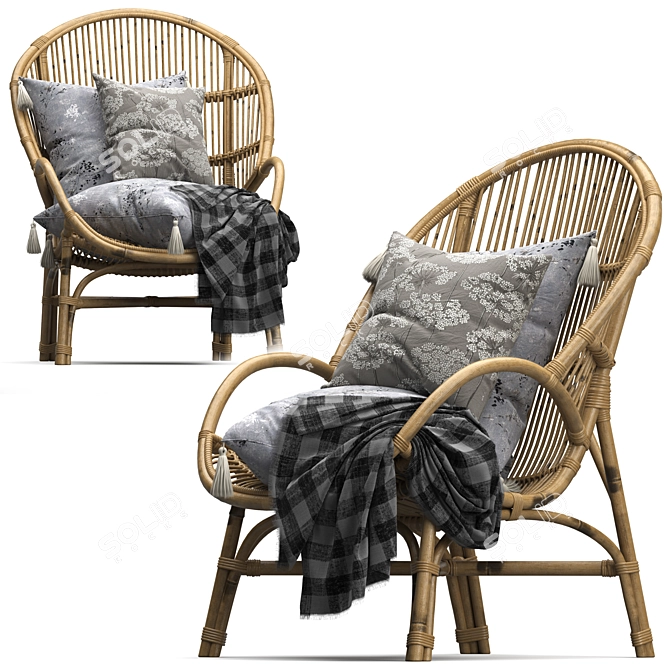 Vintage Rattan Accent Chair 3D model image 2