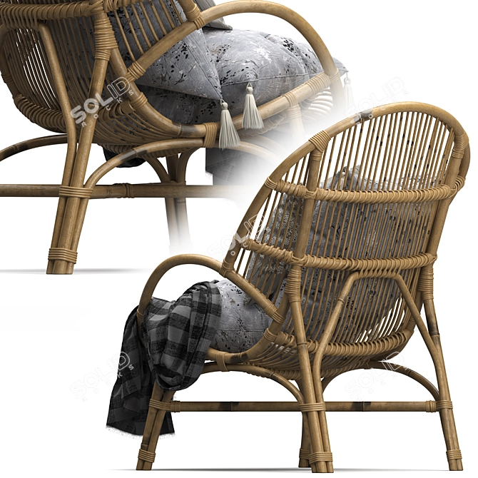 Vintage Rattan Accent Chair 3D model image 3