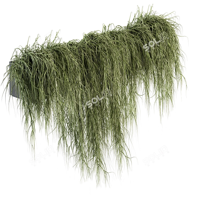 Garden Oasis: Hanging Plant Set 3D model image 1