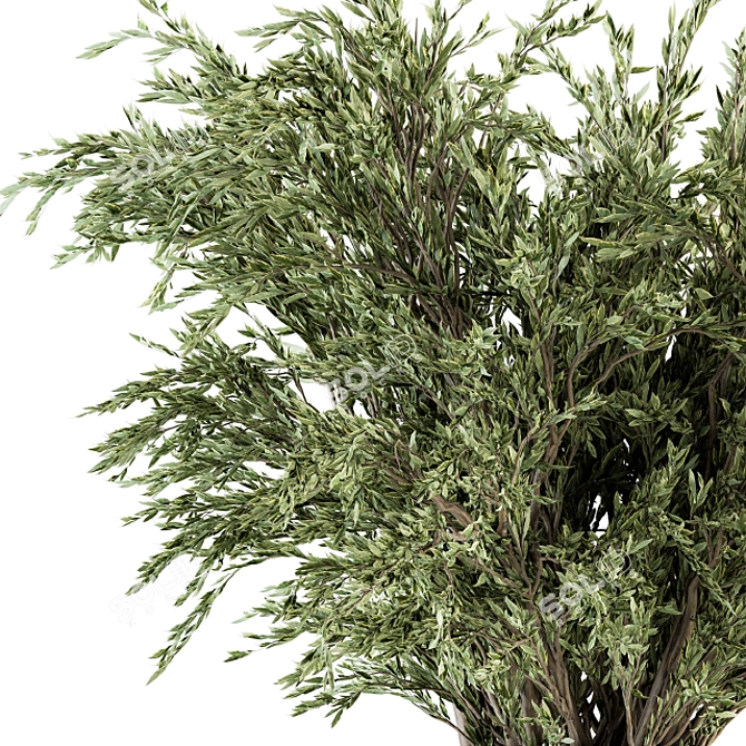 Green Oasis: Big Bush in Vase 3D model image 3