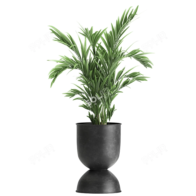 Exotic Plant Collection: Alocasia, Strelitzia, Banana Palm 3D model image 6
