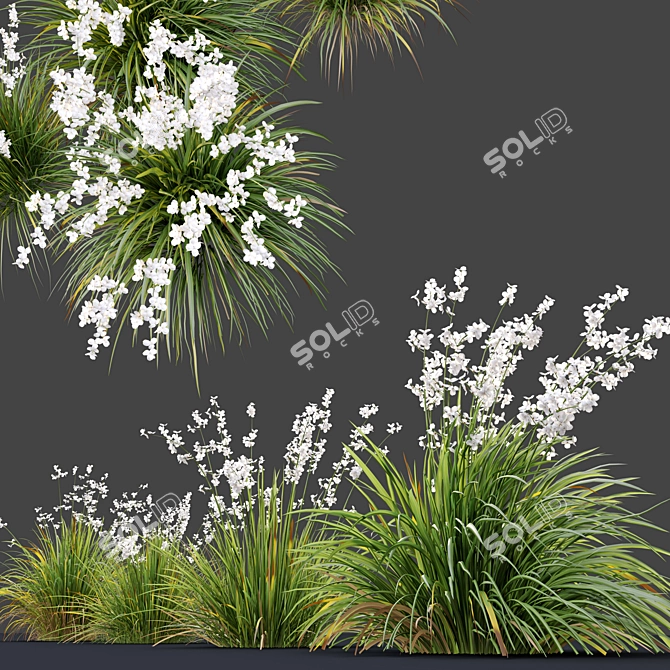 Graceful Libertia Formosa: Versatile 3D Floral Set 3D model image 2