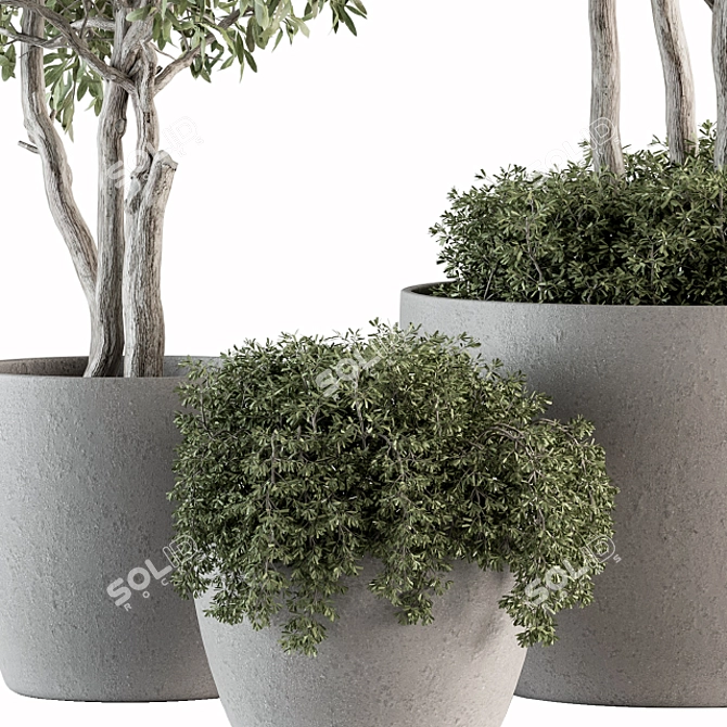182-Piece Outdoor Plant Set: Tree in Pot 3D model image 2
